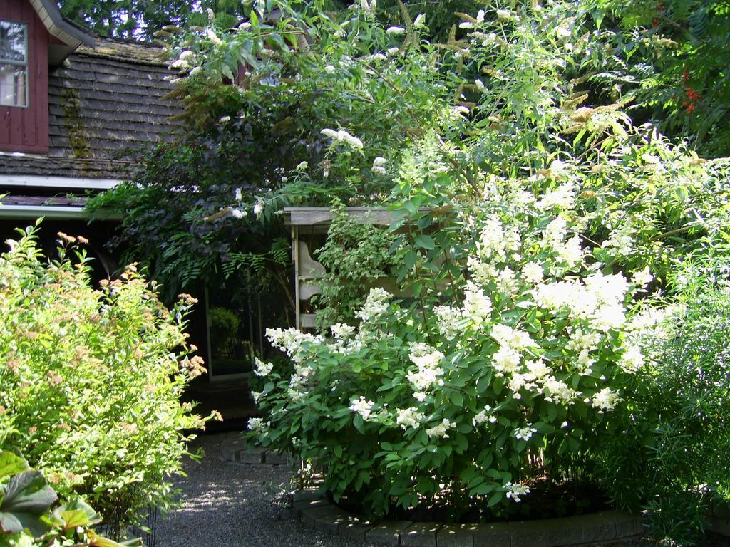 Garden House Hotel Courtenay Exterior photo